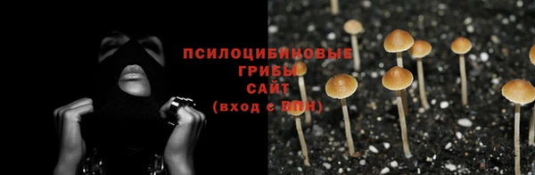 метадон Козельск