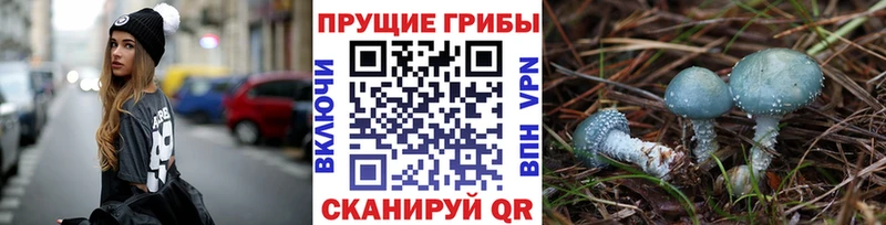 Галлюциногенные грибы MAGIC MUSHROOMS  Александровск 